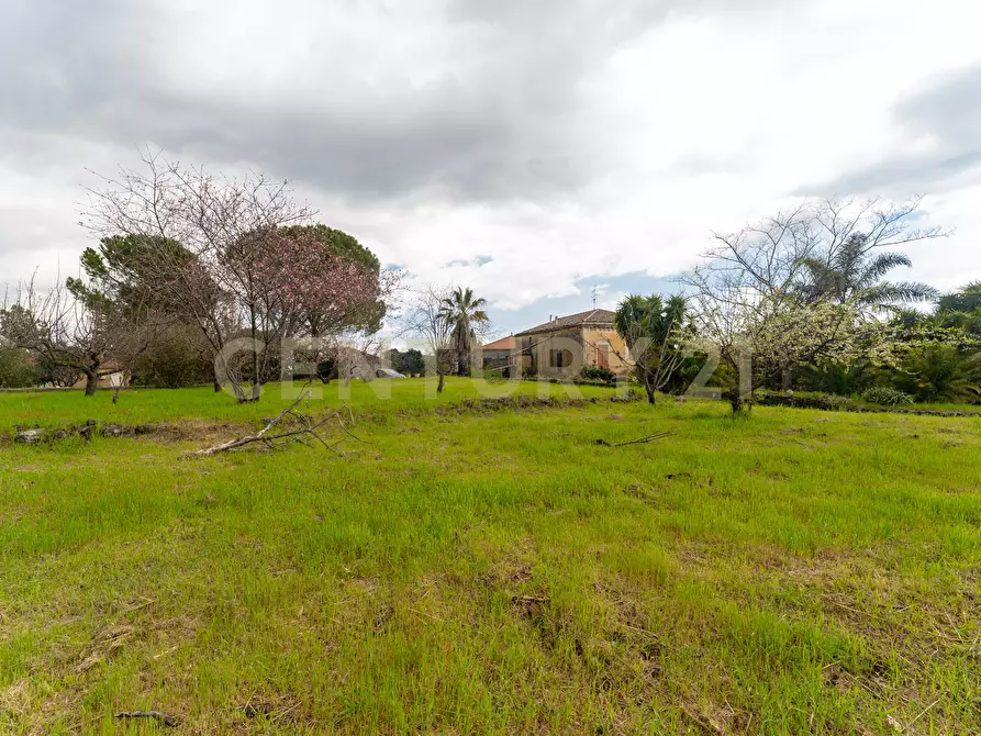 Immagine 34 di Casa indipendente in vendita  in Via Armando Diaz 83 a Zafferana Etnea