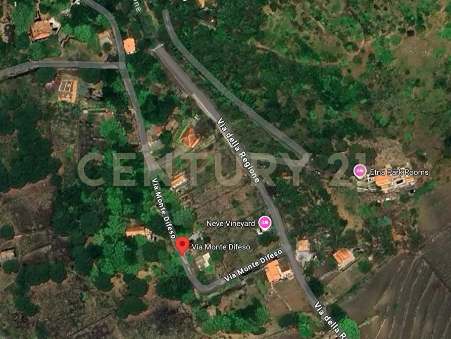 Immagine 3 di Terreno agricolo in vendita  in Via Monte Difeso a Nicolosi