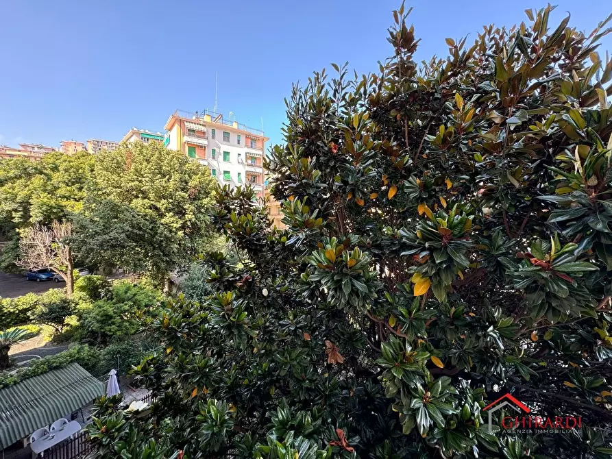 Immagine 19 di Trilocale in affitto  in Via Giacomo Filippo Porrata 37 a Genova