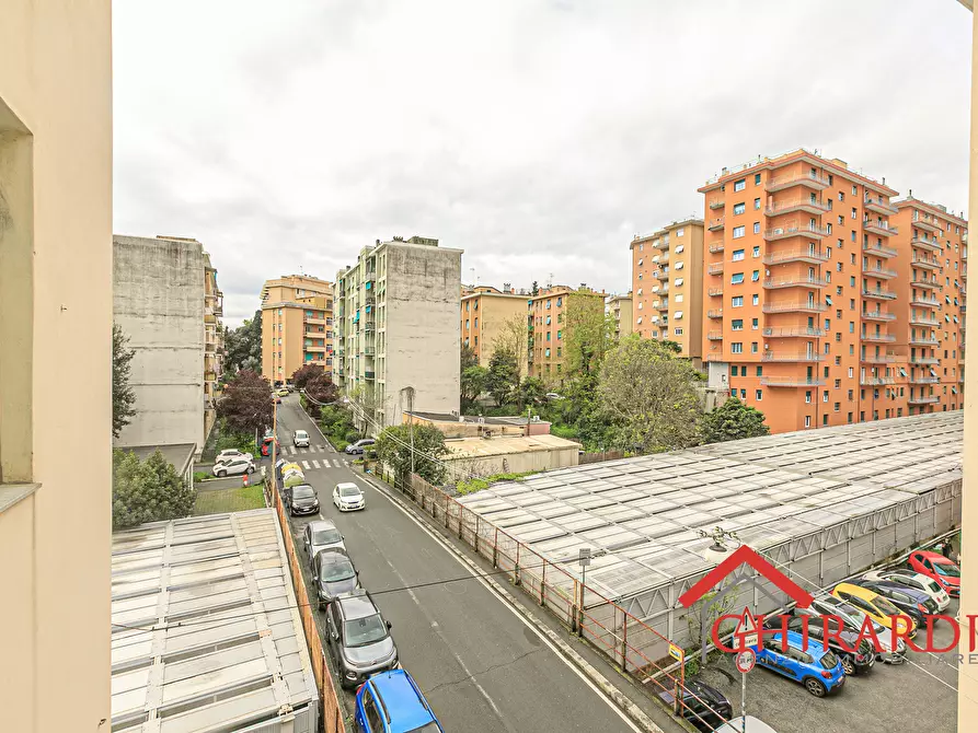 Immagine 29 di Bilocale in affitto  in Via Santa Maria della Costa 7 a Genova