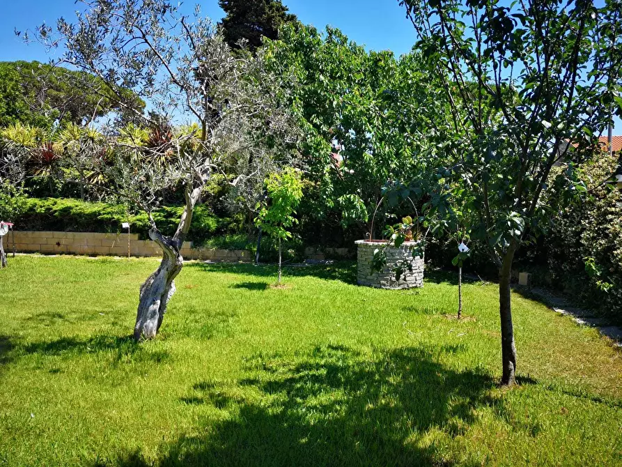 Immagine 16 di Villa in vendita  a Livorno