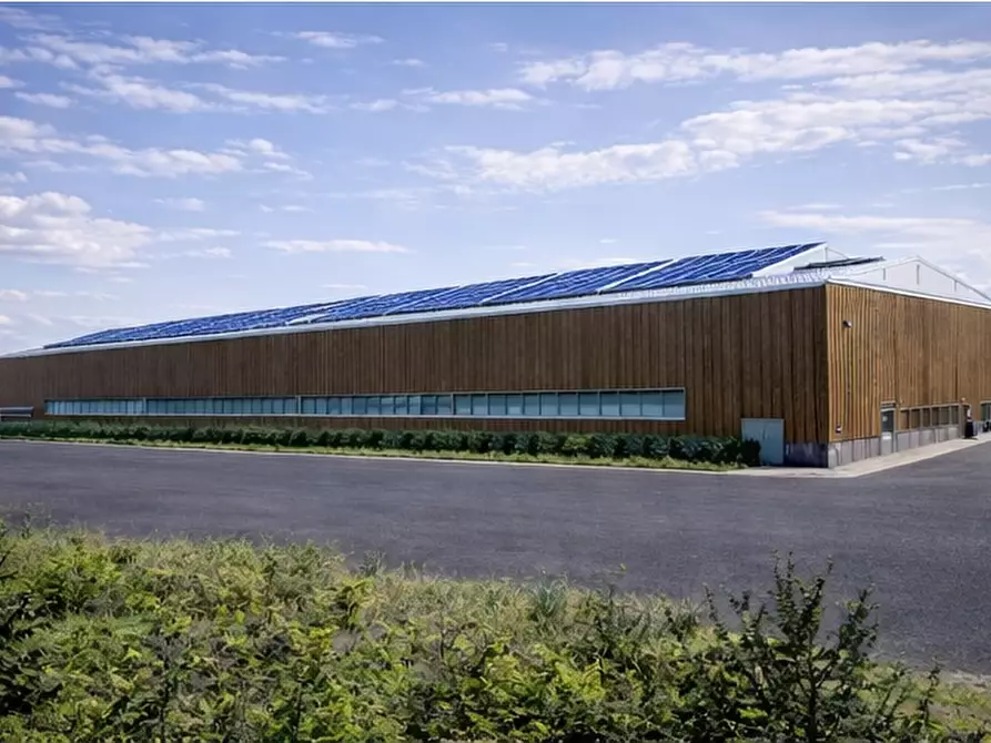 Immagine 3 di Terreno industriale in vendita  a Montechiarugolo