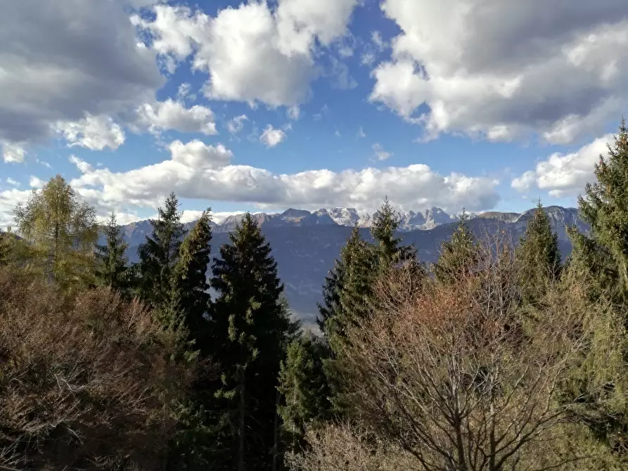 Immagine 1 di Trilocale in vendita  in via dei daini a Trento