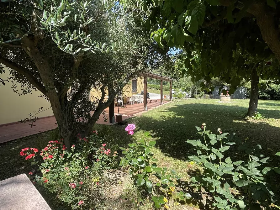 Immagine 11 di Rustico / casale in vendita  in offagna a Offagna