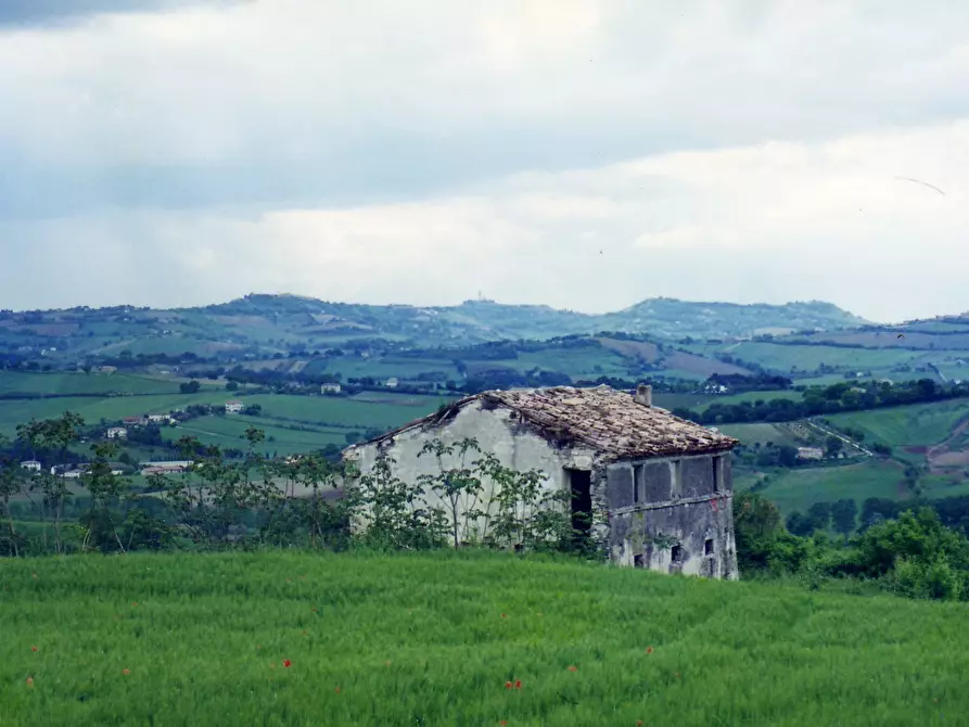 Immagine 13 di Rustico / casale in vendita  in Frazione Poggio a Ancona