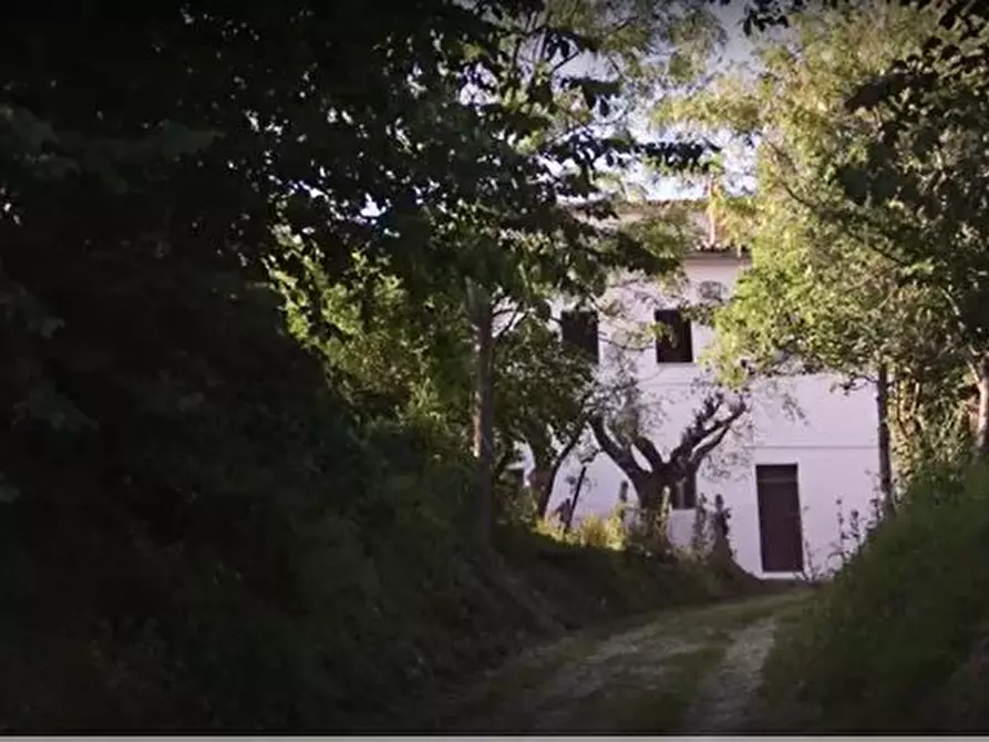 Immagine 9 di Rustico / casale in vendita  in CASTEL LEONE DI SUASA a Ostra Vetere