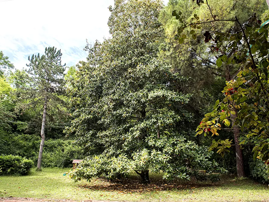 Immagine 41 di Rustico / casale in vendita  in OFFAGNA a Offagna