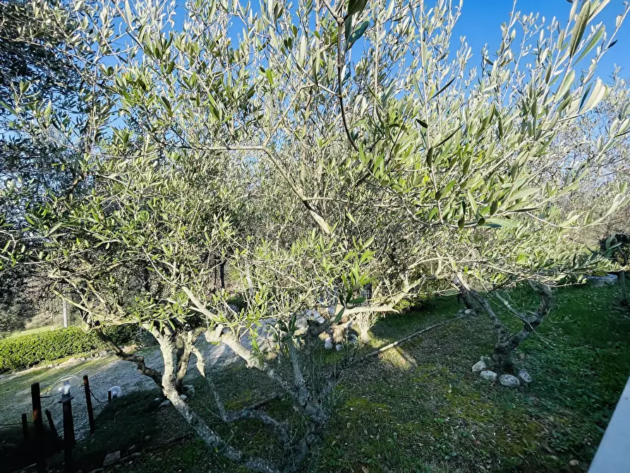 Immagine 2 di Villetta a schiera in vendita  in Via Battinebbia a Jesi