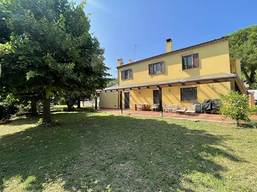 Immagine 8 di Rustico / casale in vendita  in offagna a Offagna