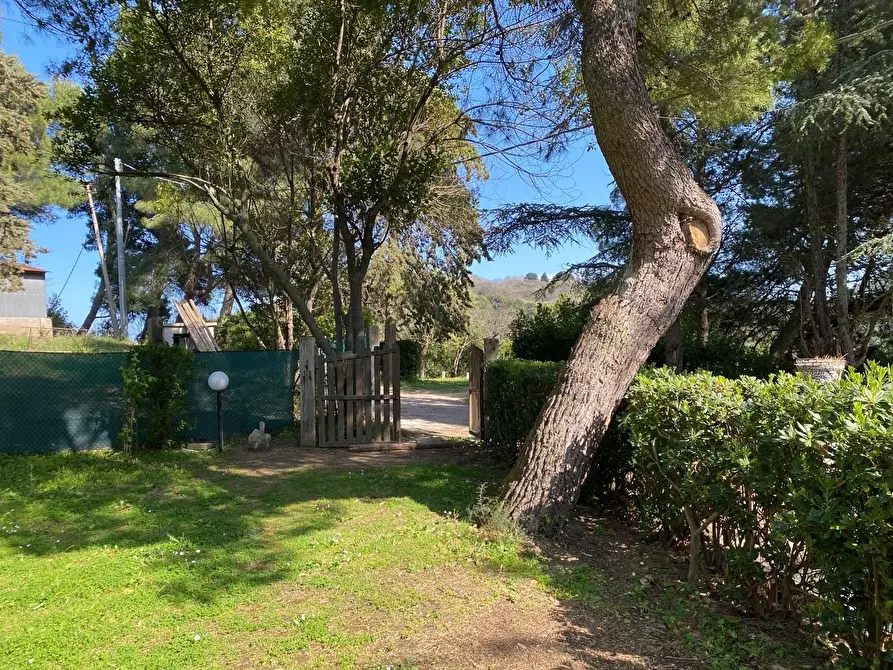 Immagine 16 di Rustico / casale in vendita  in Massignano a Ancona