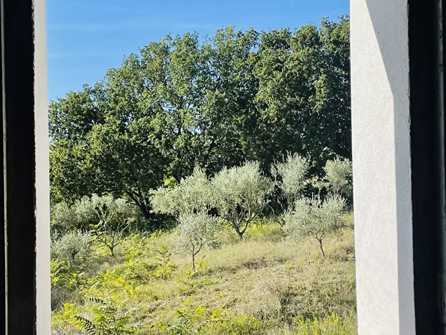 Immagine 36 di Rustico / casale in vendita  in via abbadia a Osimo