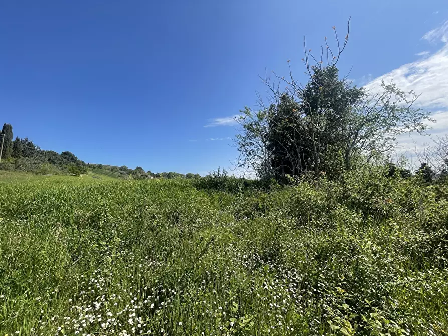 Immagine 6 di Rustico / casale in vendita  in Frazione Poggio a Ancona