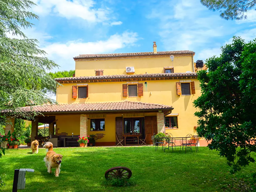 Immagine 47 di Villa in vendita  in VIA CHIARAVALLESE a Osimo