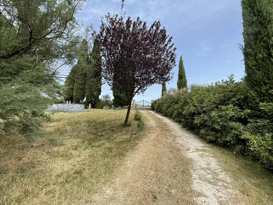 Immagine 3 di Rustico / casale in vendita  in Filottrano a Filottrano