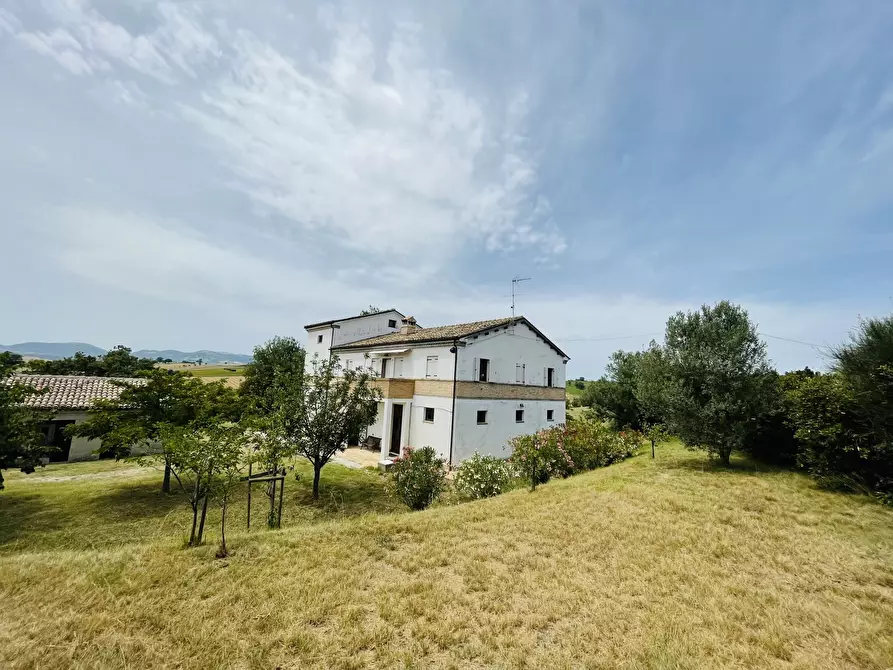 Immagine 2 di Rustico / casale in vendita  in Filottrano a Filottrano