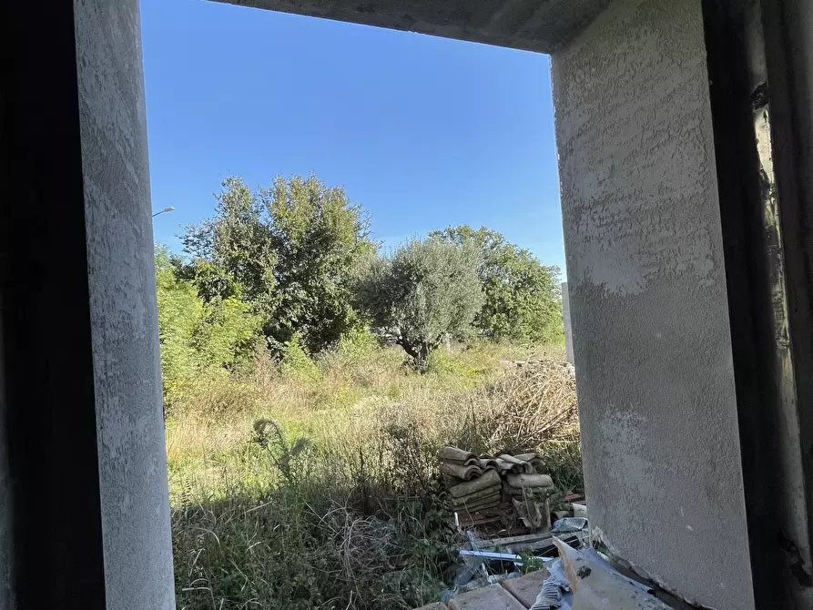 Immagine 22 di Rustico / casale in vendita  in via abbadia a Osimo