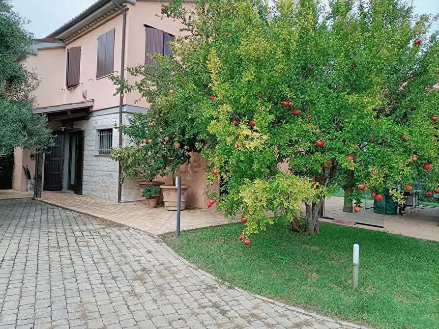 Immagine 34 di Villa in vendita  in Coppo a Sirolo