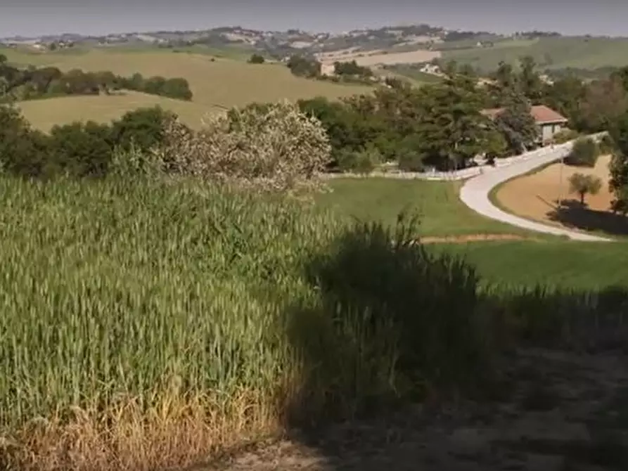 Immagine 19 di Rustico / casale in vendita  in CASTEL LEONE DI SUASA a Ostra Vetere