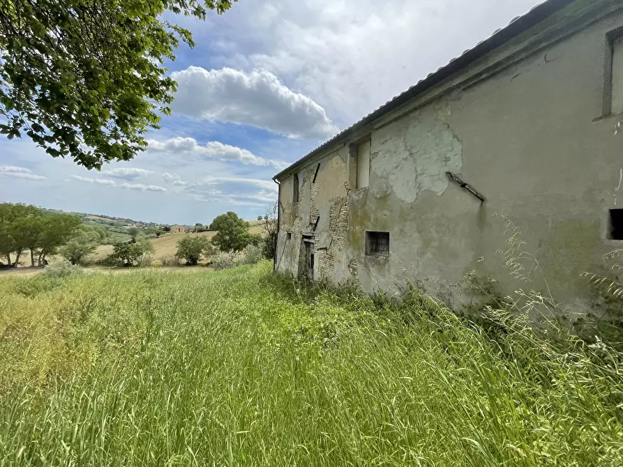 Immagine 6 di Rustico / casale in vendita  in Offagna a Ancona