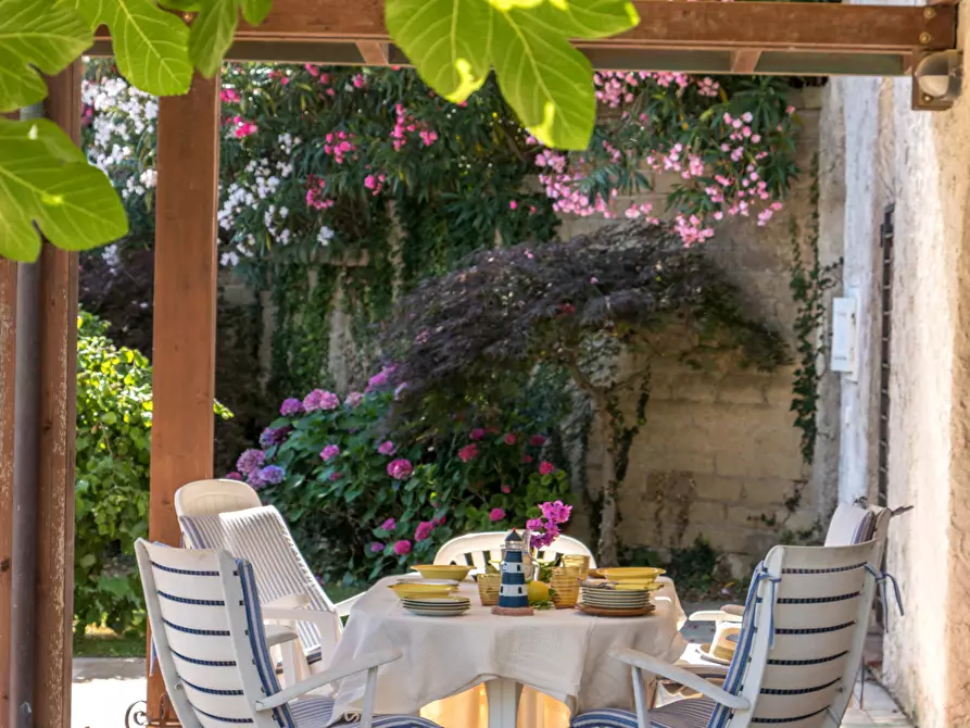 Immagine 22 di Villa in affitto  in Via ISCHIA a Numana