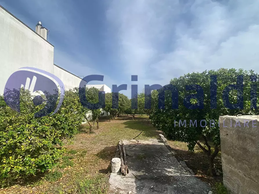 Immagine 2 di Terreno agricolo in vendita  in Via Santa Lucia 44 a Scorrano