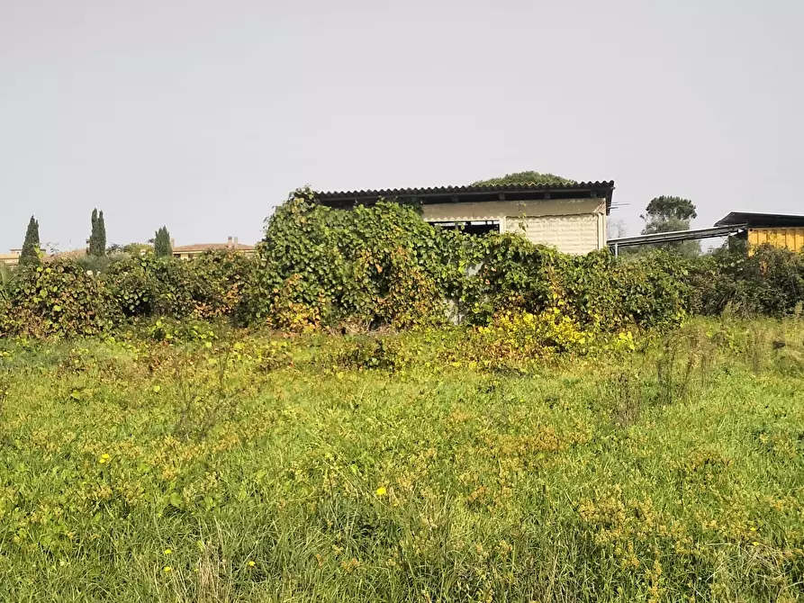 Immagine 9 di Terreno agricolo in vendita  in Via Lago di Sirino a Nettuno