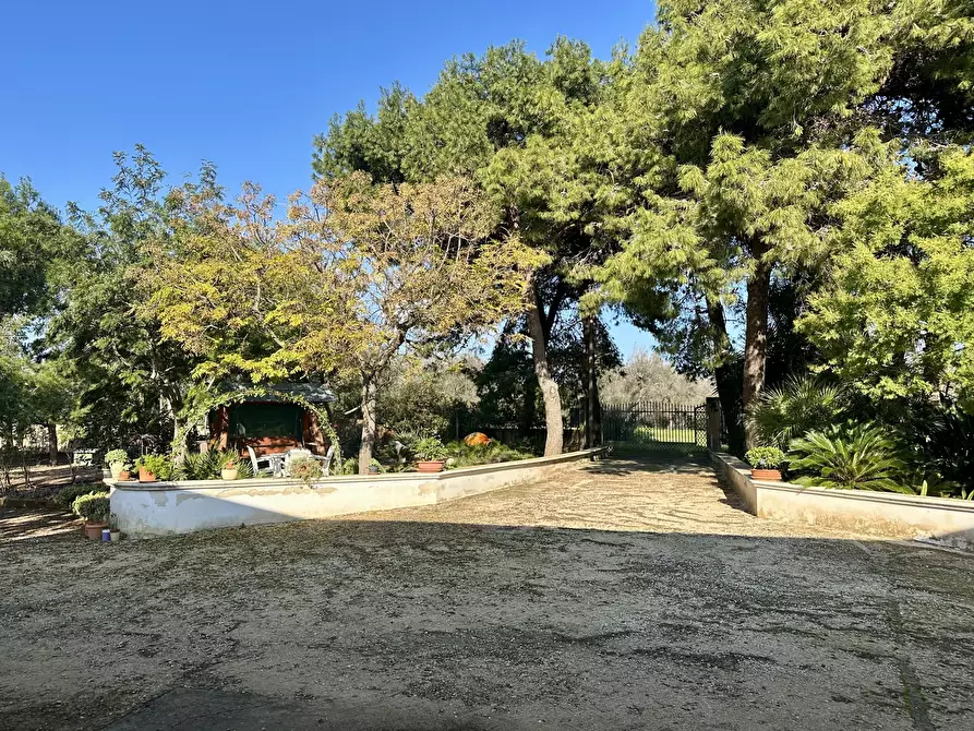 Immagine 33 di Villa in vendita  in Contrada Pezza d' Acqua Fresca 27 a San Vito Dei Normanni