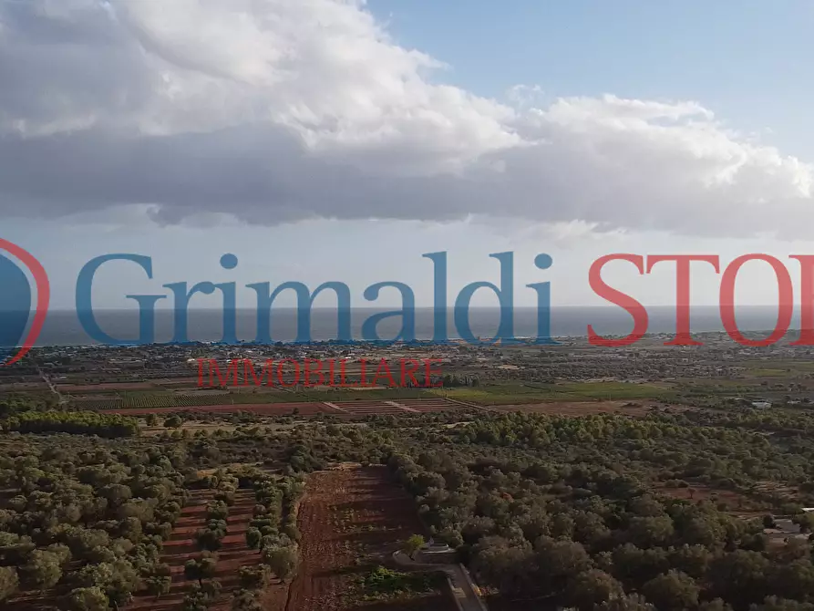 Immagine 12 di Terreno agricolo in vendita  a Manduria