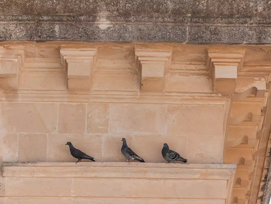 Immagine 11 di Casa indipendente in vendita  in Via Roberto Caracciolo 30 a Lecce