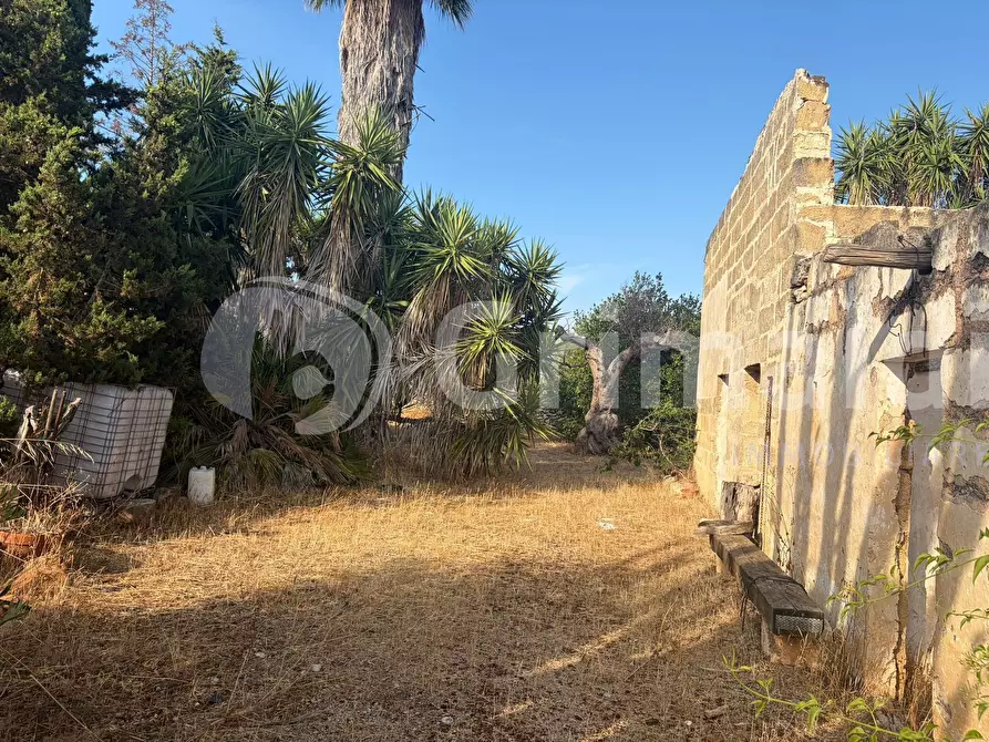 Immagine 9 di Terreno agricolo in vendita  in Contrada Coline a Alezio