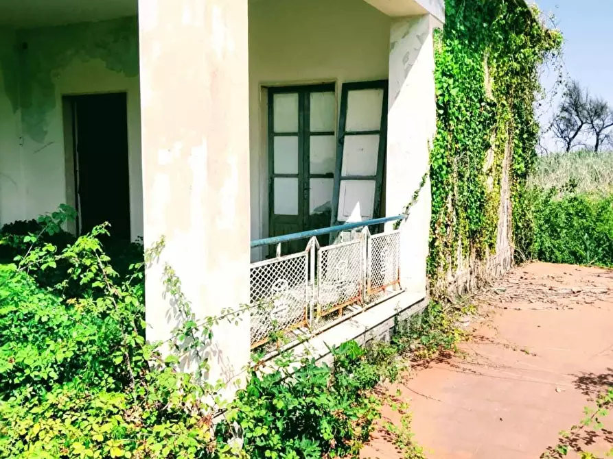 Immagine 23 di Terreno agricolo in vendita  in Lungomare Agnone Bagni a Augusta