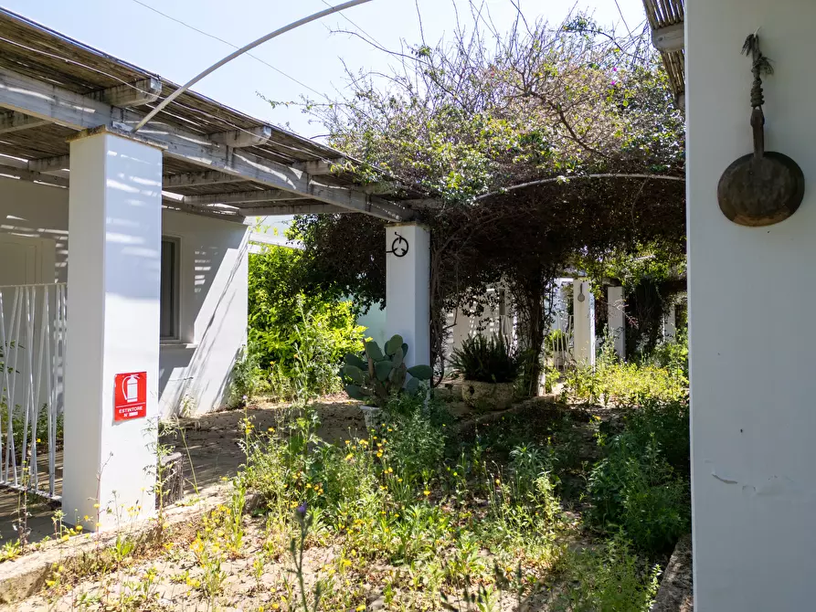 Immagine 56 di Casa indipendente in vendita  in Strada Provinciale 194 a Sannicola