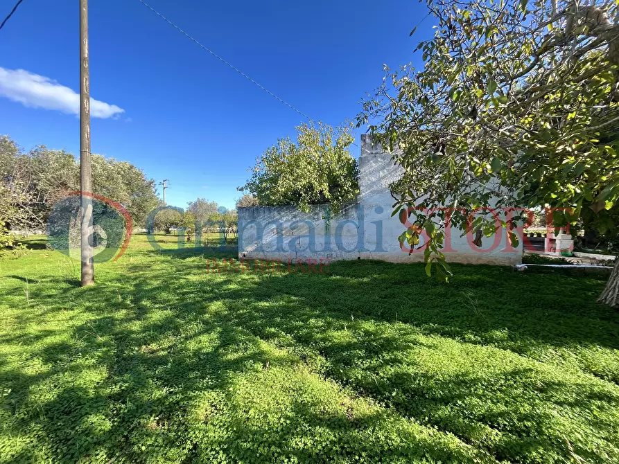 Immagine 35 di Rustico / casale in vendita  a San Vito Dei Normanni