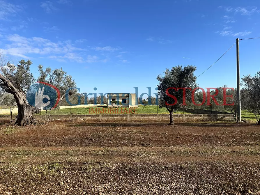 Immagine 20 di Rustico / casale in vendita  a San Vito Dei Normanni