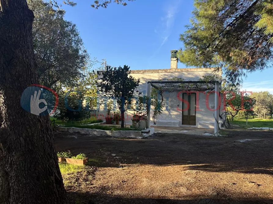 Immagine 7 di Rustico / casale in vendita  a San Vito Dei Normanni