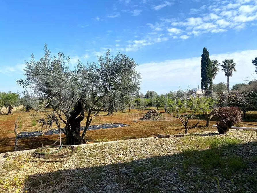 Immagine 14 di Villa in vendita  in strada provinciale 361 a Gallipoli