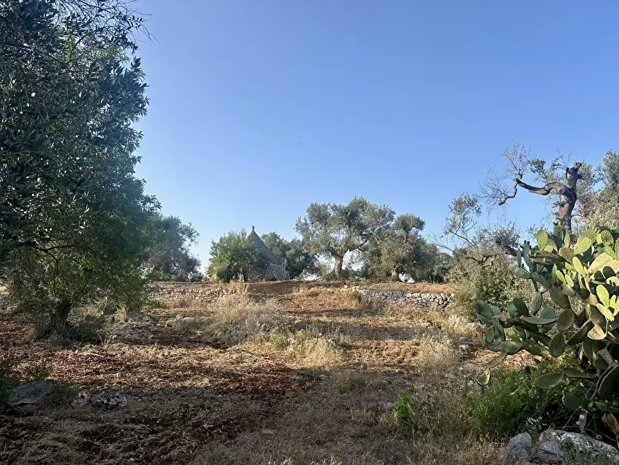 Immagine 5 di Terreno edificabile in vendita  a Ceglie Messapico