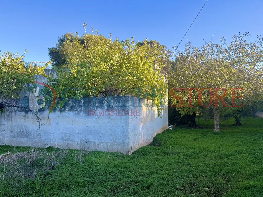 Immagine 12 di Rustico / casale in vendita  a San Vito Dei Normanni