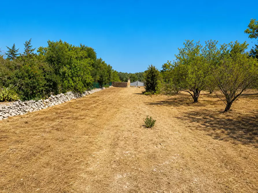 Immagine 13 di Terreno agricolo in vendita  in Contrada San Benedetto a Ostuni