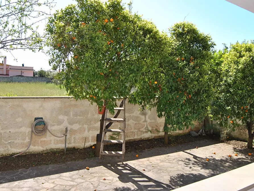 Immagine 22 di Quadrilocale in affitto  in Via del Poligono 9 a Anzio