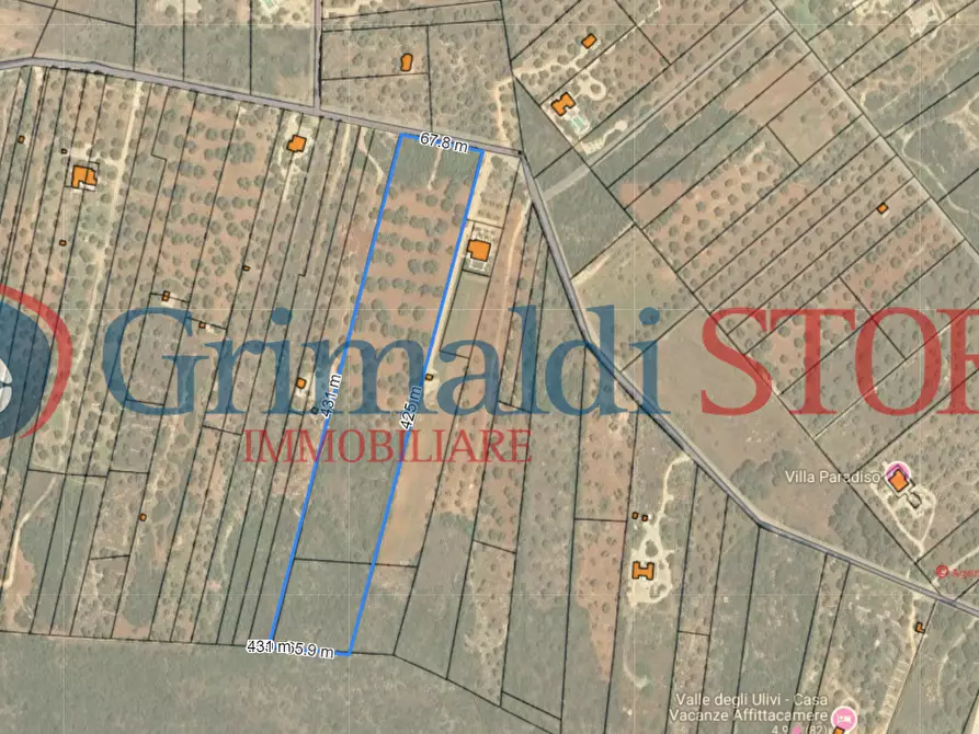 Immagine 20 di Terreno agricolo in vendita  a Manduria