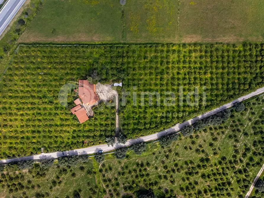 Immagine 23 di Villa in vendita  in Via Bella Pettinata 1 a Avola
