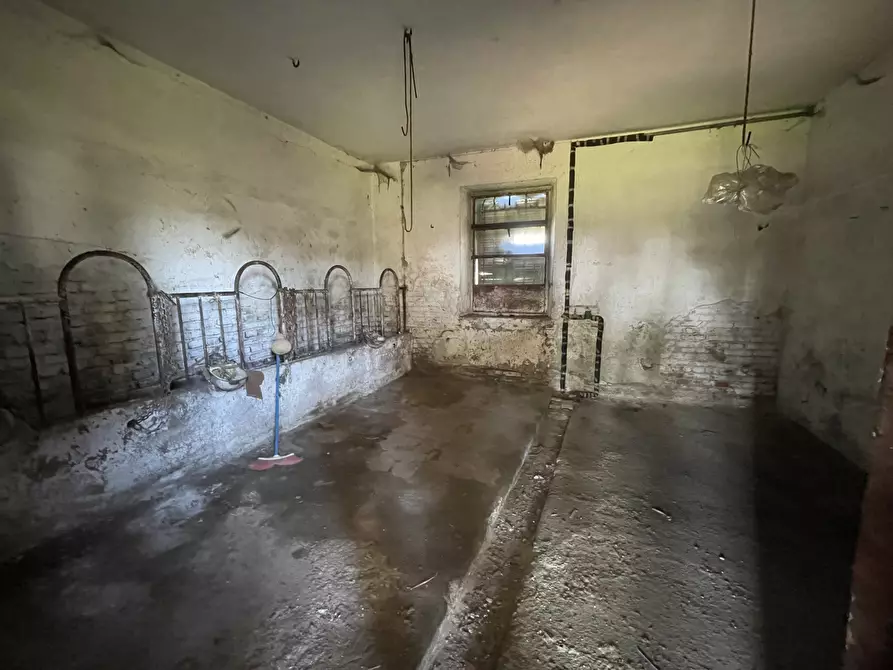 Immagine 33 di Rustico / casale in vendita  in Via Roma 4343 a Fara Novarese