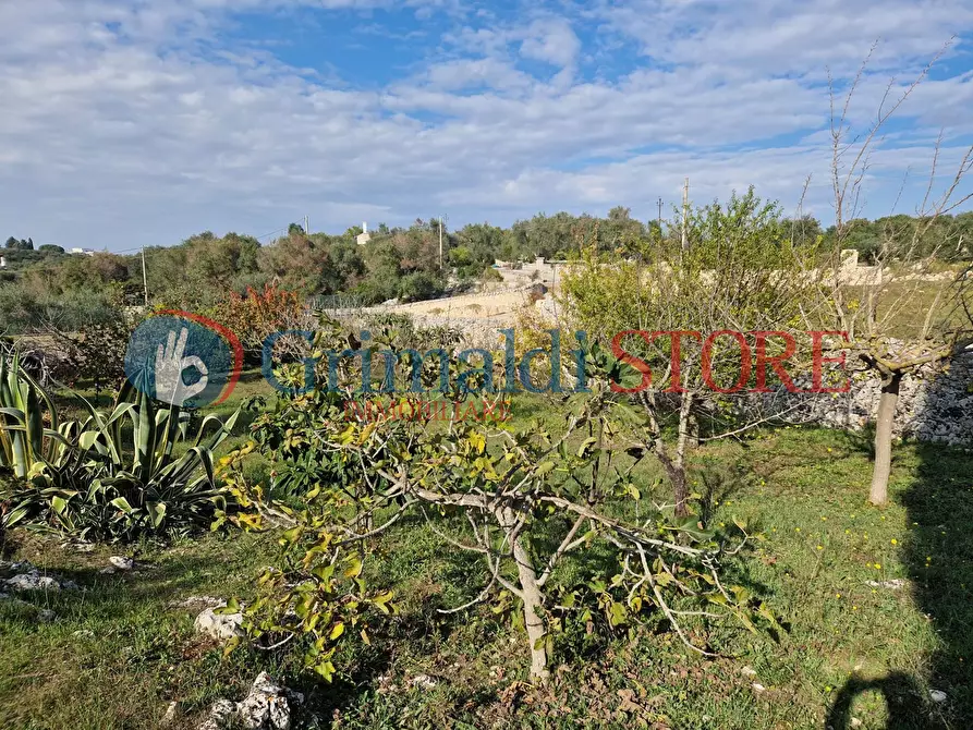 Immagine 18 di Casa indipendente in vendita  a Ostuni