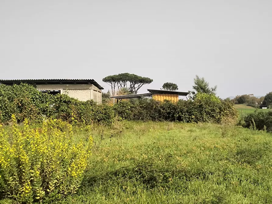 Immagine 4 di Terreno agricolo in vendita  in Via Lago di Sirino a Nettuno