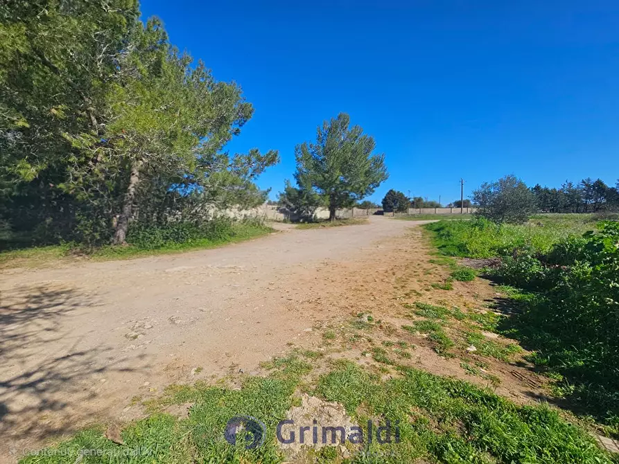 Immagine 24 di Magazzino in vendita  in Via Solano Li Belli 47 a Lequile