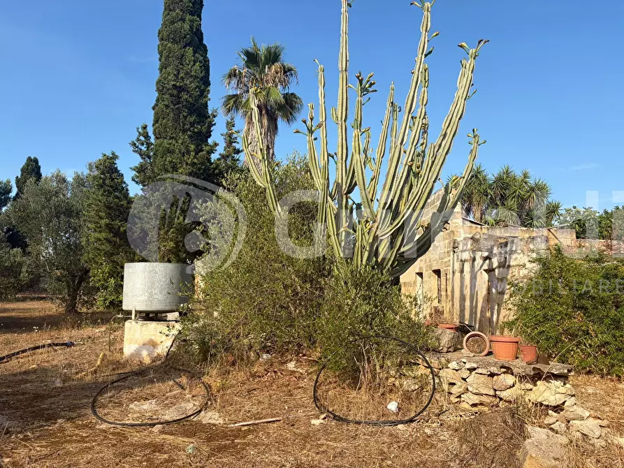 Immagine 12 di Terreno agricolo in vendita  in Contrada Coline a Alezio