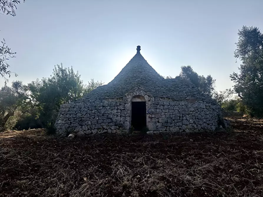 Immagine 9 di Terreno edificabile in vendita  a Ceglie Messapico