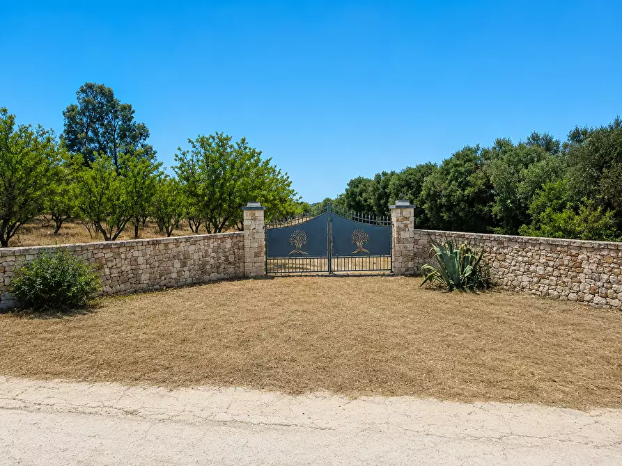 Immagine 15 di Terreno agricolo in vendita  in Contrada San Benedetto a Ostuni