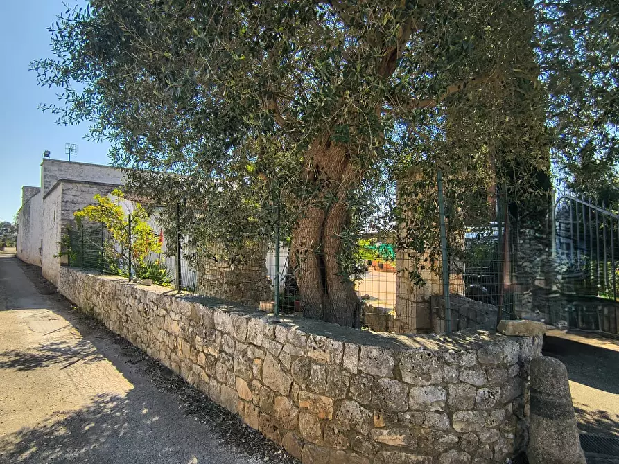 Immagine 12 di Casa indipendente in vendita  in Strada Comunale Parco Balistris a Polignano A Mare